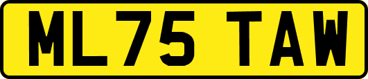 ML75TAW
