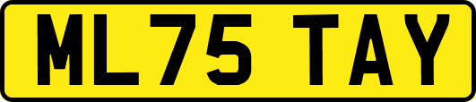 ML75TAY