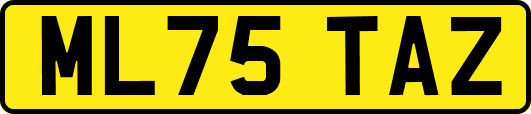 ML75TAZ