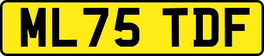 ML75TDF