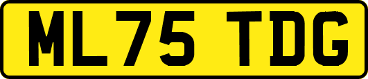 ML75TDG