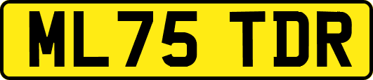ML75TDR
