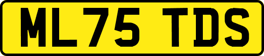 ML75TDS