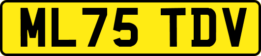 ML75TDV
