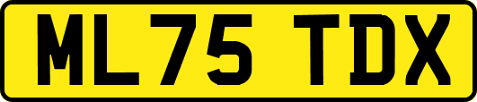 ML75TDX