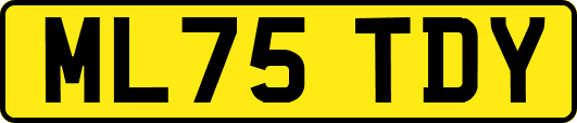 ML75TDY
