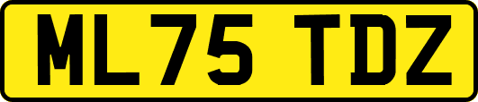 ML75TDZ