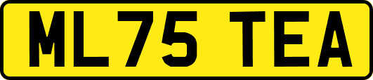 ML75TEA
