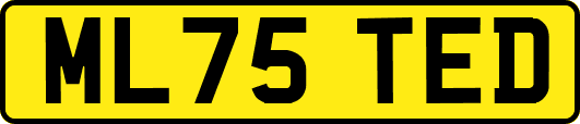 ML75TED