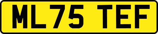 ML75TEF
