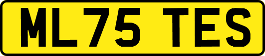 ML75TES