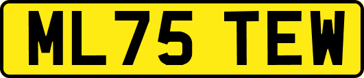 ML75TEW