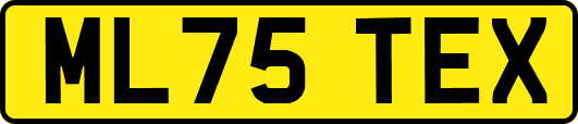 ML75TEX