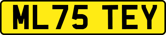 ML75TEY