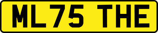 ML75THE