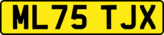 ML75TJX