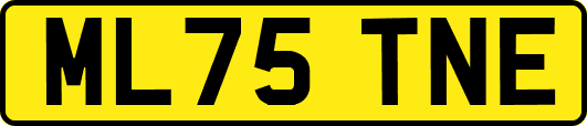 ML75TNE
