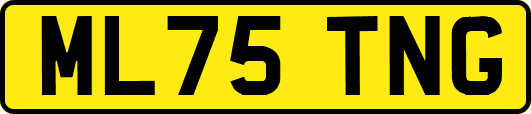 ML75TNG