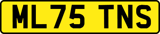 ML75TNS
