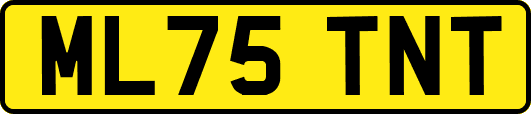 ML75TNT