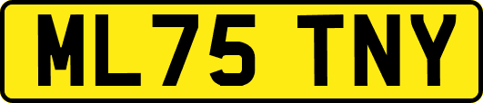 ML75TNY