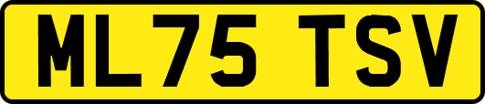 ML75TSV