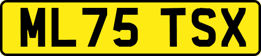 ML75TSX