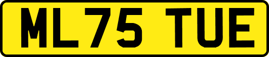 ML75TUE