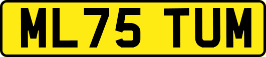 ML75TUM