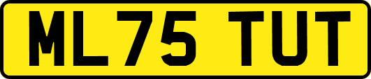 ML75TUT