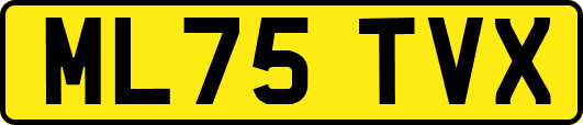 ML75TVX
