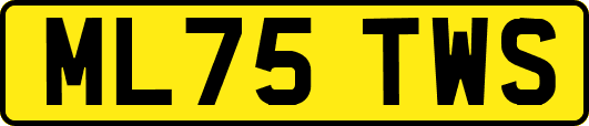 ML75TWS