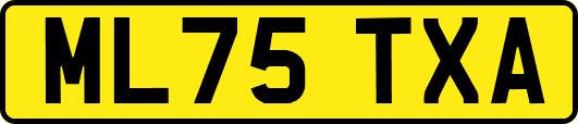 ML75TXA