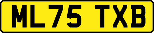 ML75TXB