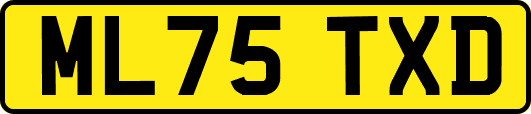 ML75TXD