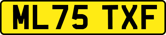 ML75TXF