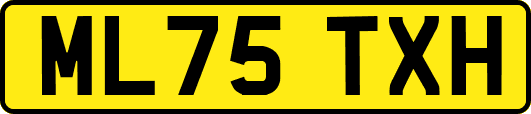 ML75TXH