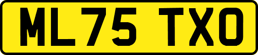 ML75TXO