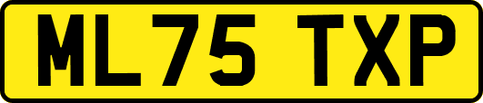 ML75TXP