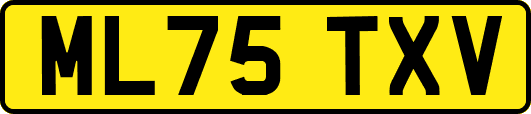 ML75TXV