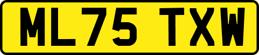 ML75TXW