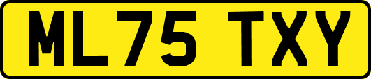ML75TXY