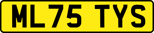 ML75TYS
