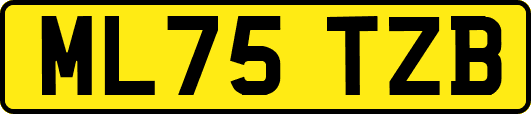 ML75TZB