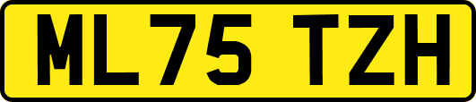 ML75TZH