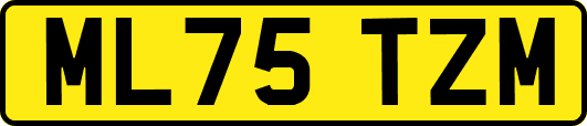 ML75TZM