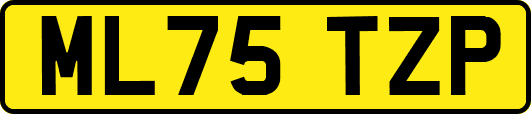 ML75TZP