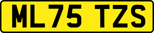 ML75TZS