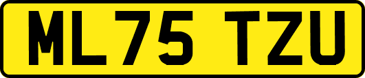 ML75TZU