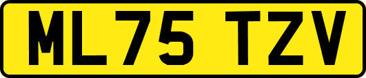 ML75TZV
